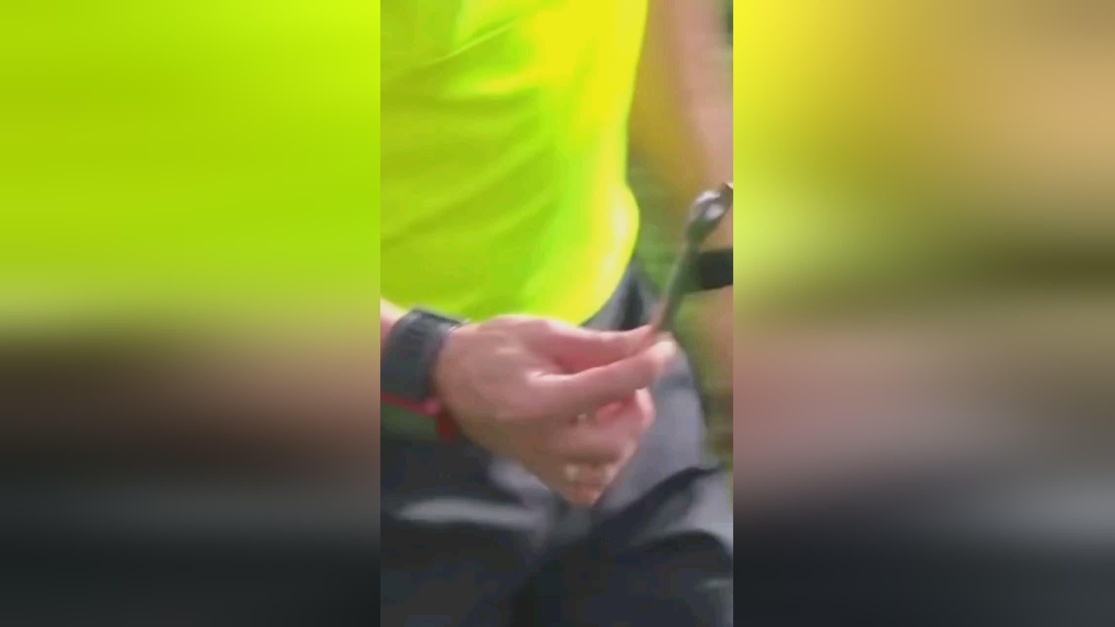 译以惊